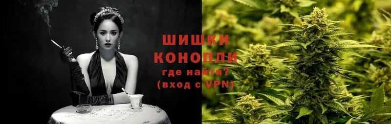 где найти наркотики  mega tor  Шишки марихуана SATIVA & INDICA  Подпорожье 